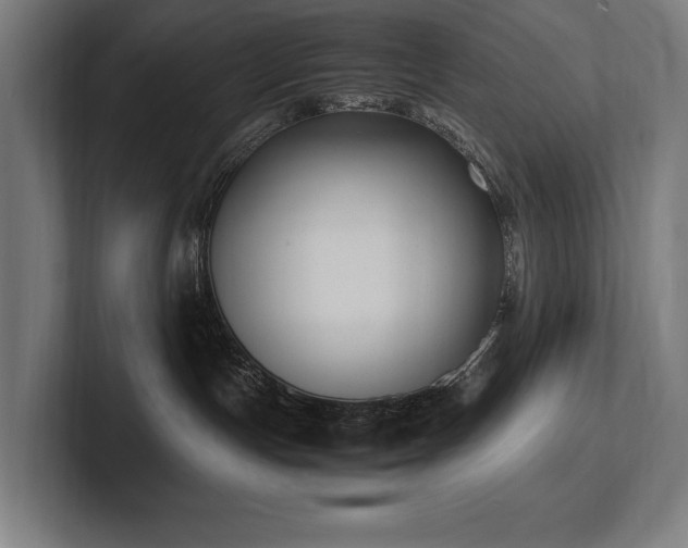 X0000102760191200808181116