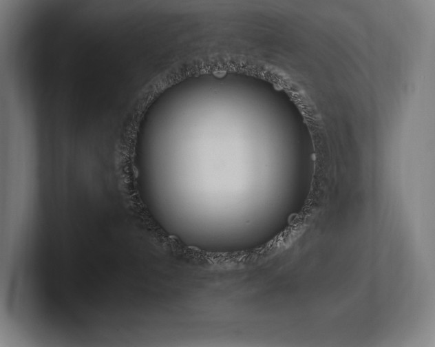 X0000102760192200808181116