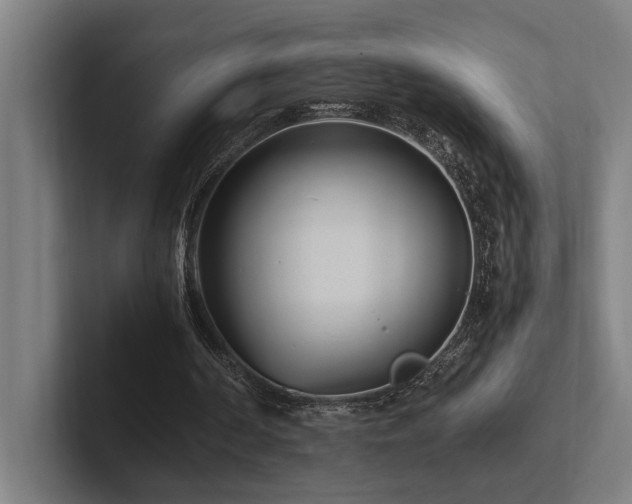 X0000102760194200808181116