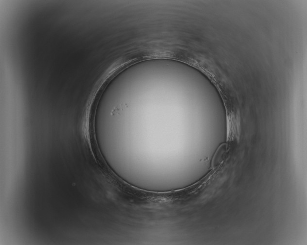 X0000102760195200808181116
