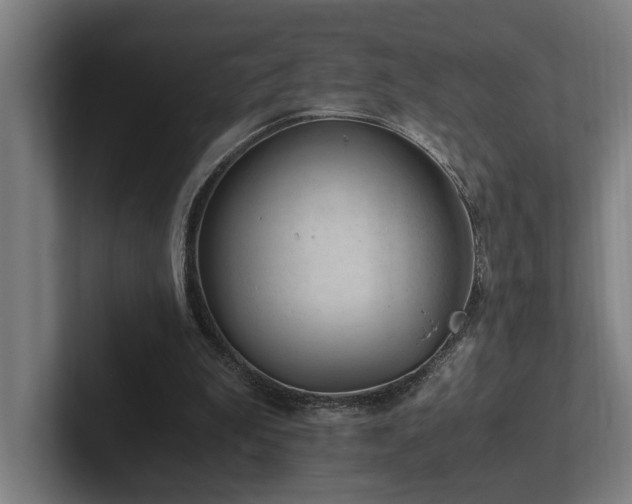 X0000102760199200808181116