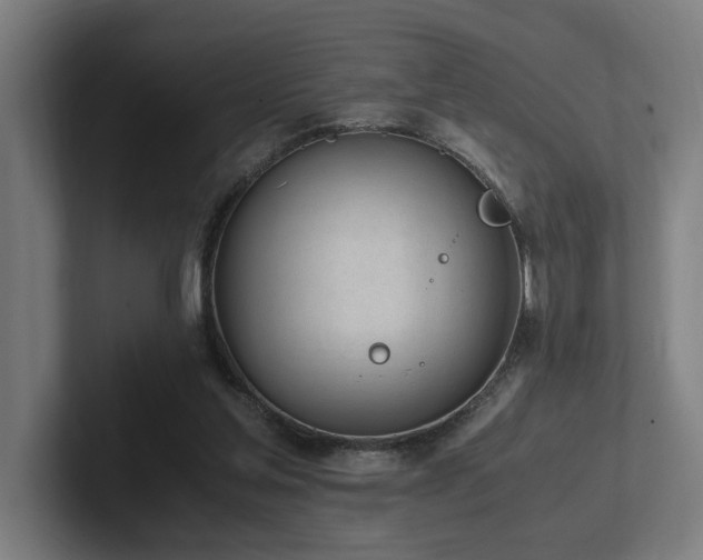 X0000102760205200808181116