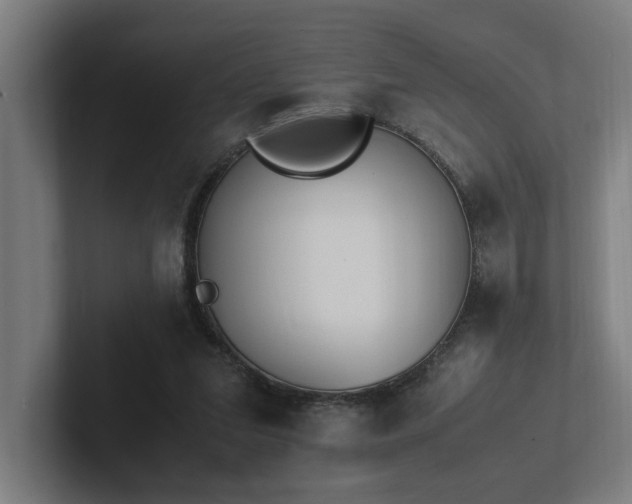X0000102760207200808181116