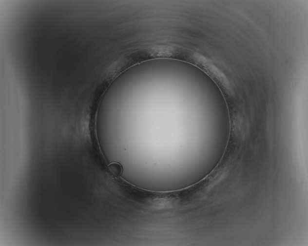 X0000102760209200808181116