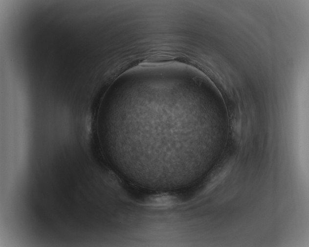 X0000102760219200808181115
