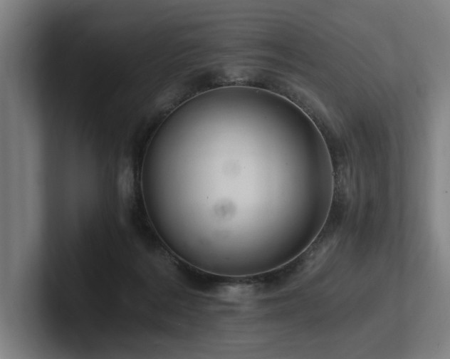 X0000102760220200808181115