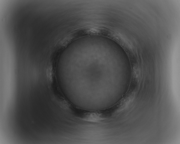 X0000102760223200808181115
