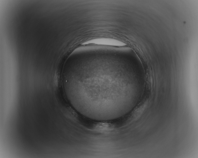 X0000102760227200808181115