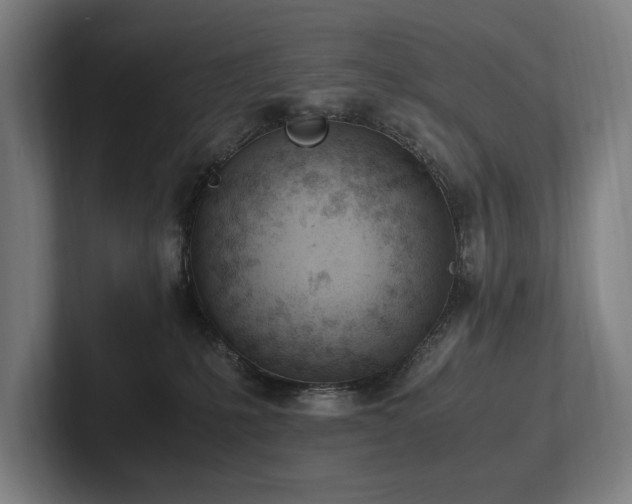 X0000102760231200808181115