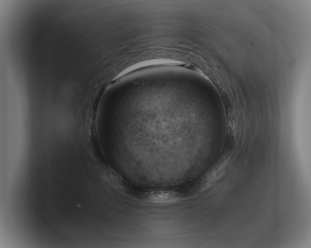 X0000102760235200808181115