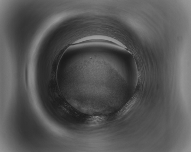 X0000102760239200808181115