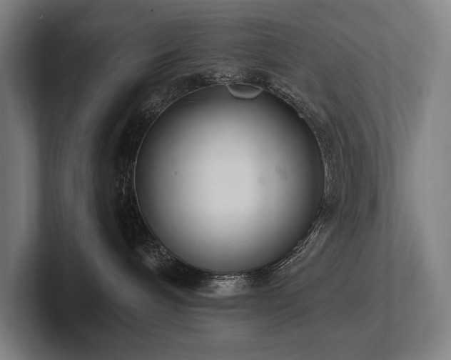 X0000102760240200808181115