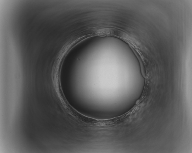 X0000102760241200808181115
