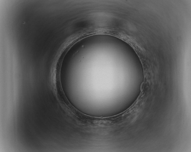 X0000102760242200808181115