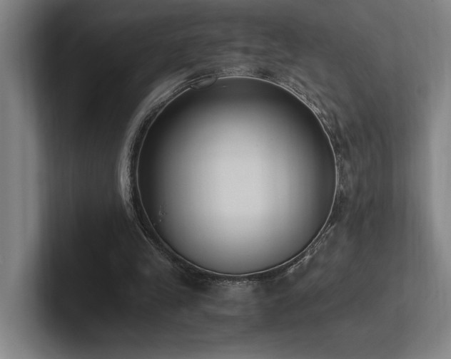 X0000102760245200808181115