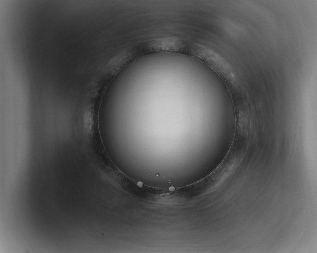 X0000102760259200808181115