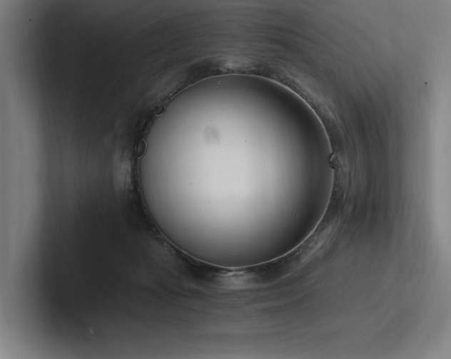 X0000102760269200808181115