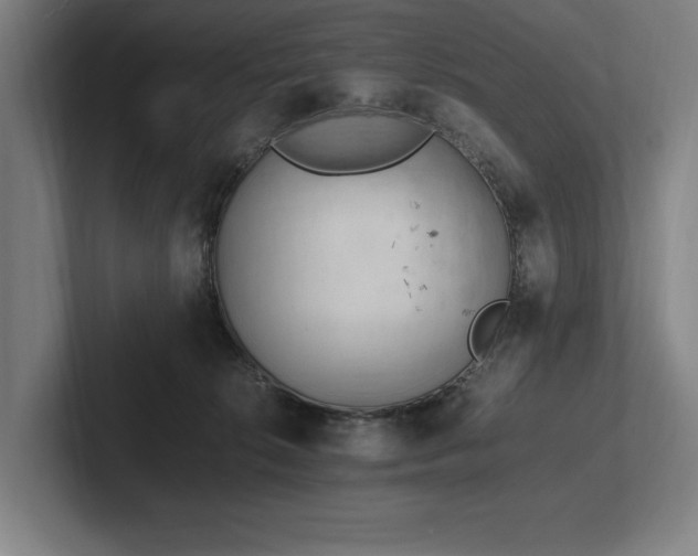 X0000102760276200808181115