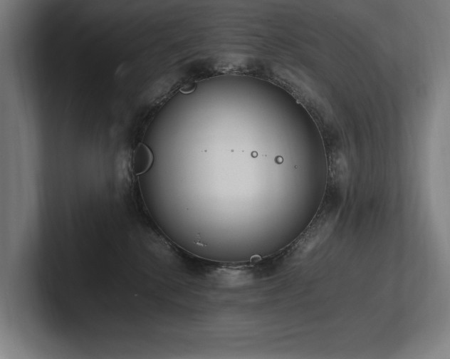 X0000102760280200808181115
