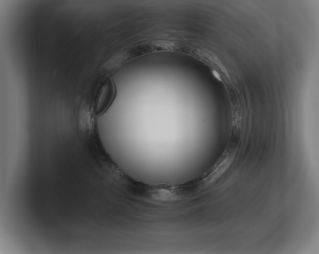 X0000102760285200808181115