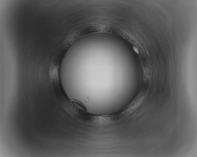 X0000102760286200808181115