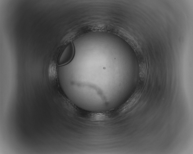 X0000102760287200808181115