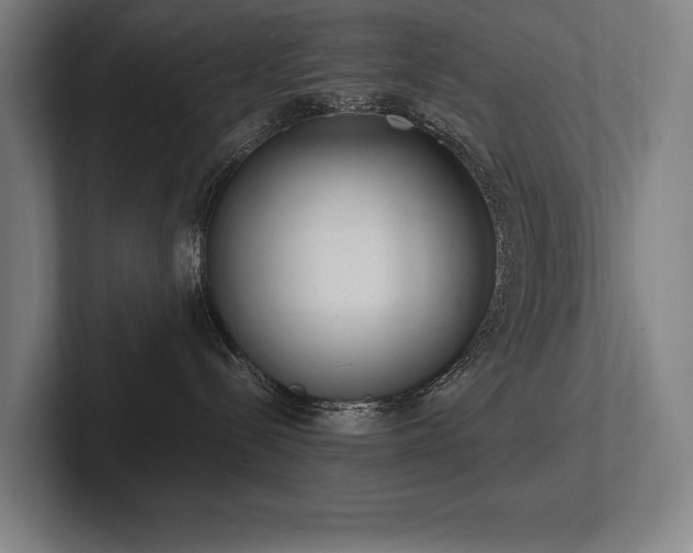 X0000102760288200808181115