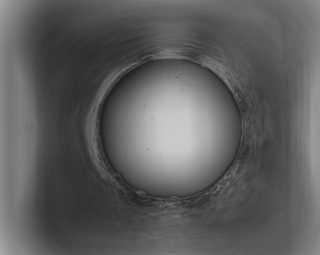 X0000102760289200808181114
