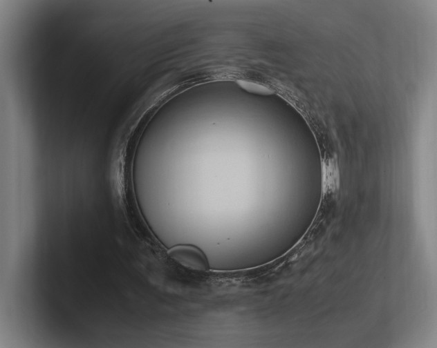 X0000102760291200808181114