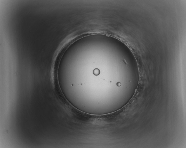 X0000102760296200808181114