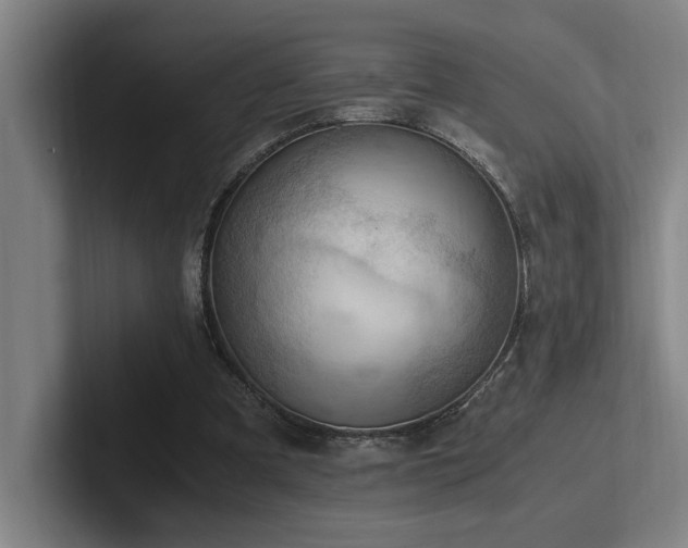 X0000102760297200808181114