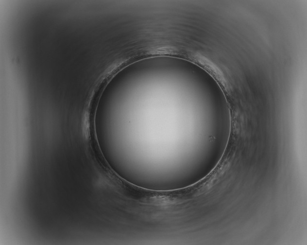 X0000102760298200808181114
