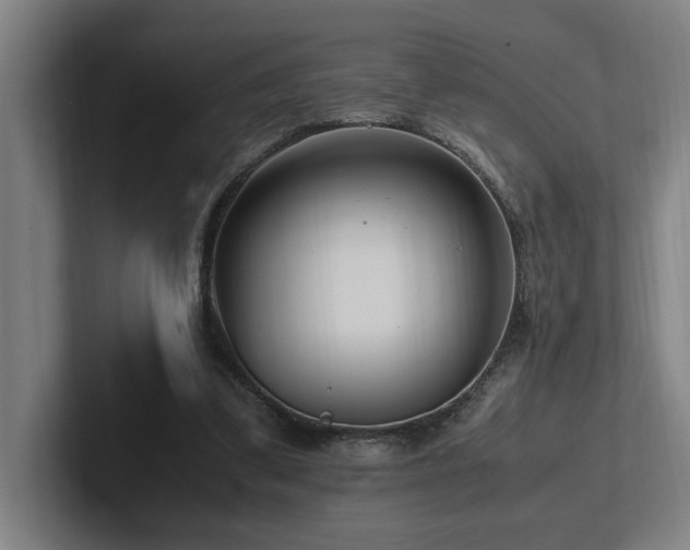X0000102760299200808181114