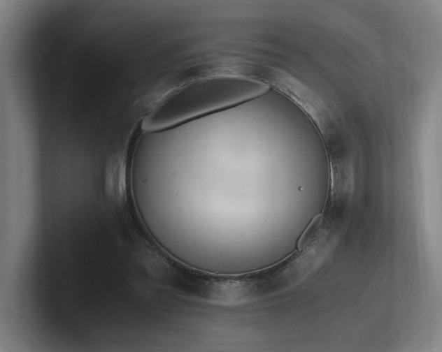 X0000102760301200808181114