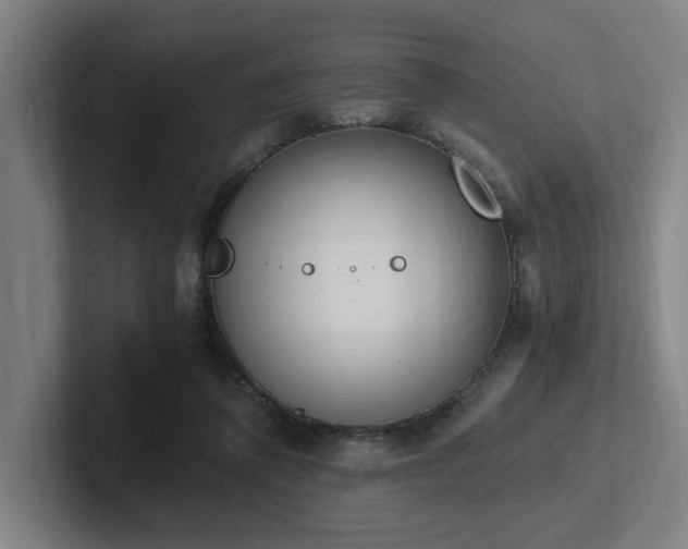 X0000102760308200808181114