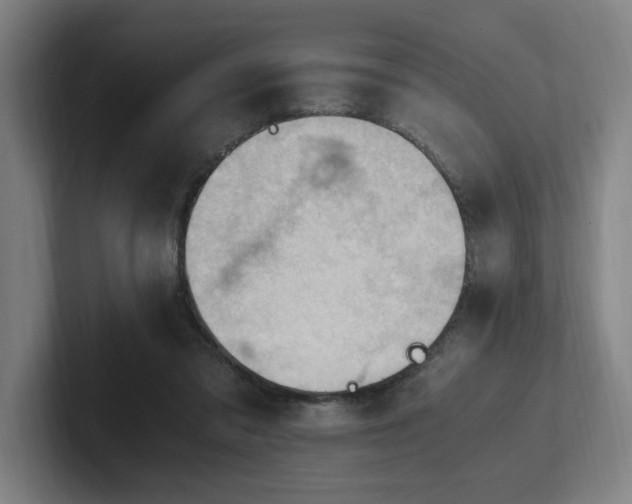 X0000102760309200808181114