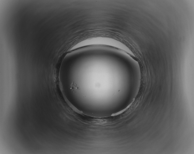 X0000102760328200808181114
