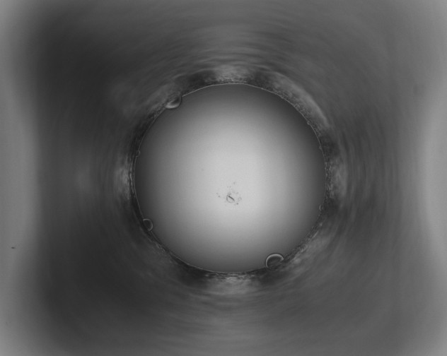 X0000102760329200808181114