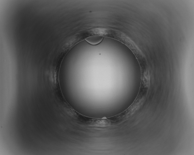 X0000102760330200808181114