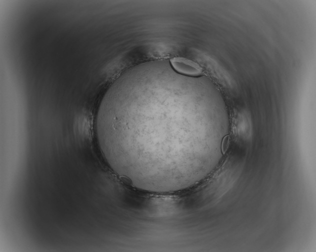 X0000102760332200808181114