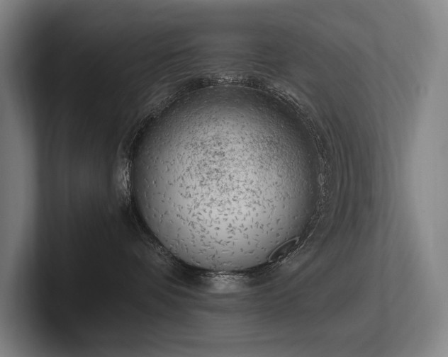 X0000102760336200808181114