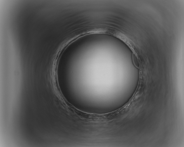 X0000102760337200808181113