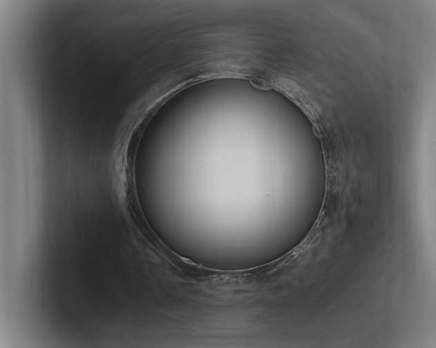 X0000102760338200808181113