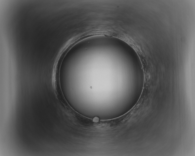X0000102760340200808181113