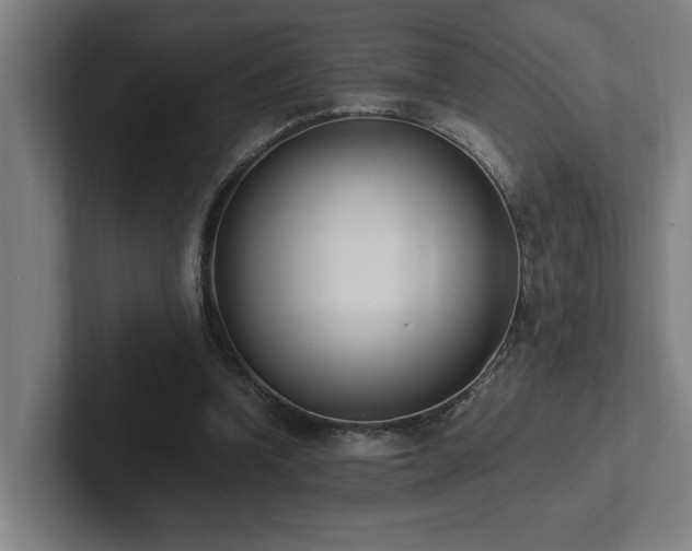 X0000102760346200808181113