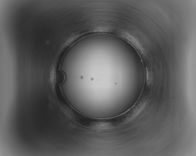 X0000102760348200808181113