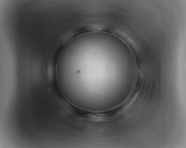 X0000102760359200808181114