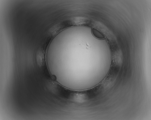 X0000102760360200808181114