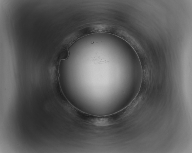 X0000102760361200808181114