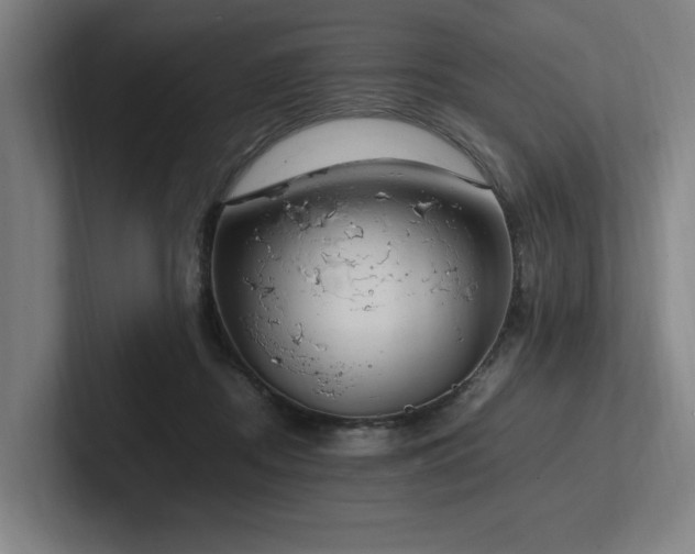 X0000102760362200808181114